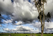 中国队获亚洲选手滑雪登山世界大赛最好成绩.