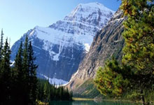 虎扑NBA：专家热议如何加强青少年科学健身普及和健康干预.