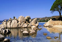 虎扑NBA:专家热议如何加强青少年科学健身普及和健康干预.